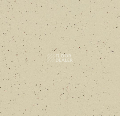 Линолеум Forbo Marmoleum Solid Cocoa 3584-358435 white chocolate фото 1 | FLOORDEALER